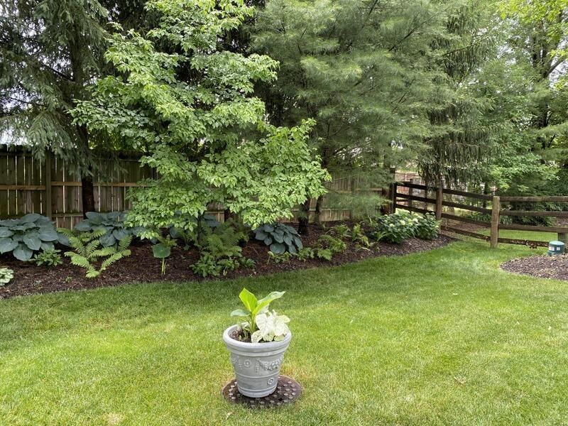 6431 Gossamer Court, Westerville, OH 43081 Photo 34