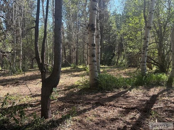 4376 Granite Ridge, ASHTON, ID 83420