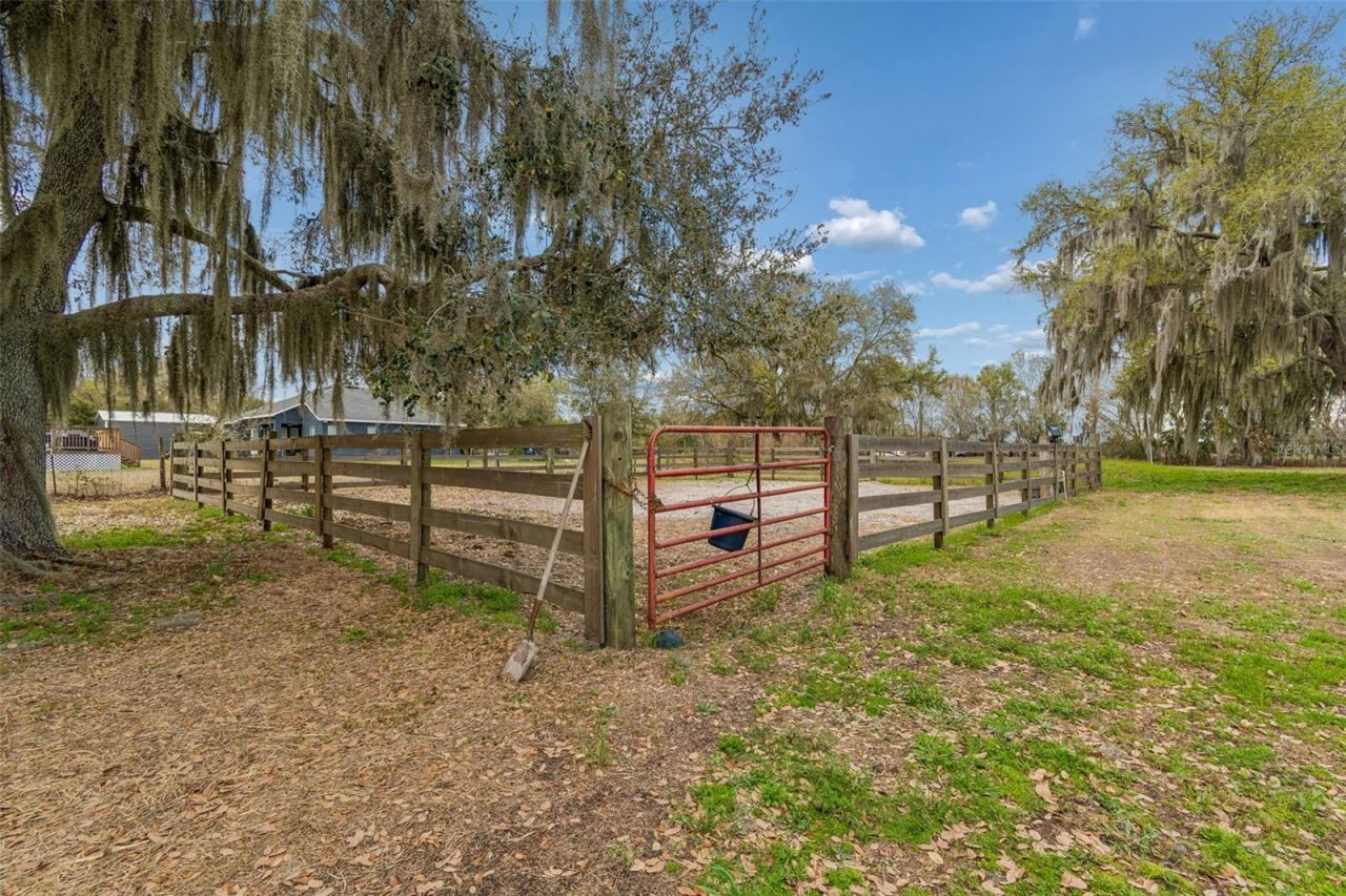 5614 Pless Road, Plant City, FL 33565 Photo