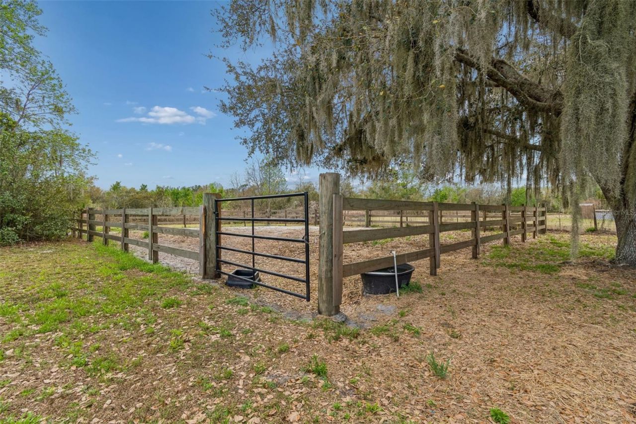 5614 Pless Road, Plant City, FL 33565 Photo