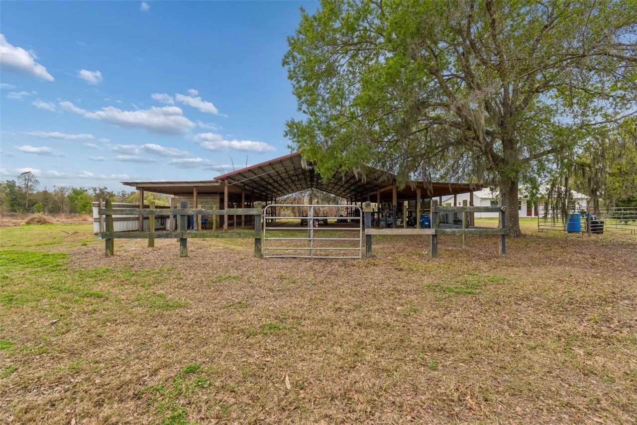 5614 Pless Road, Plant City, FL 33565 Photo