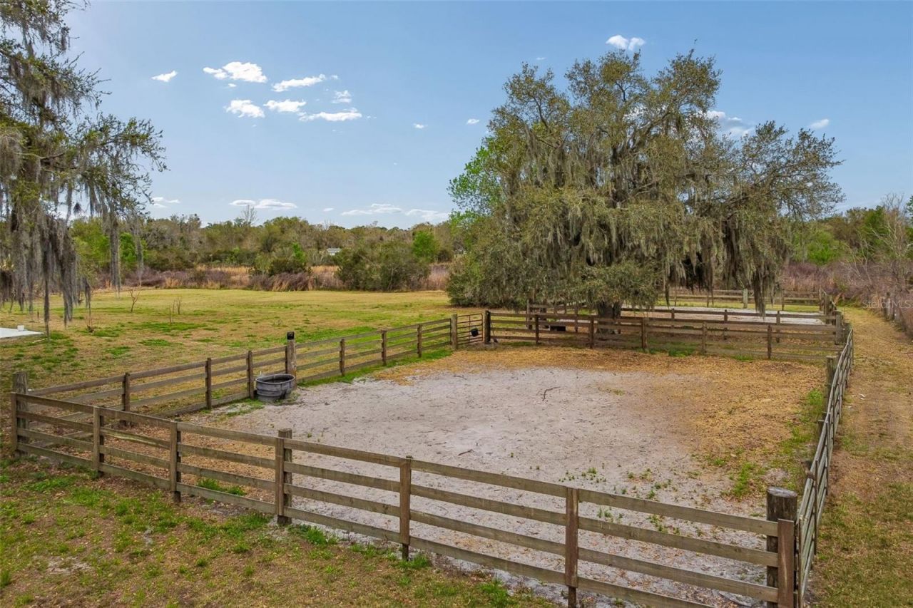 5614 Pless Road, Plant City, FL 33565 Photo