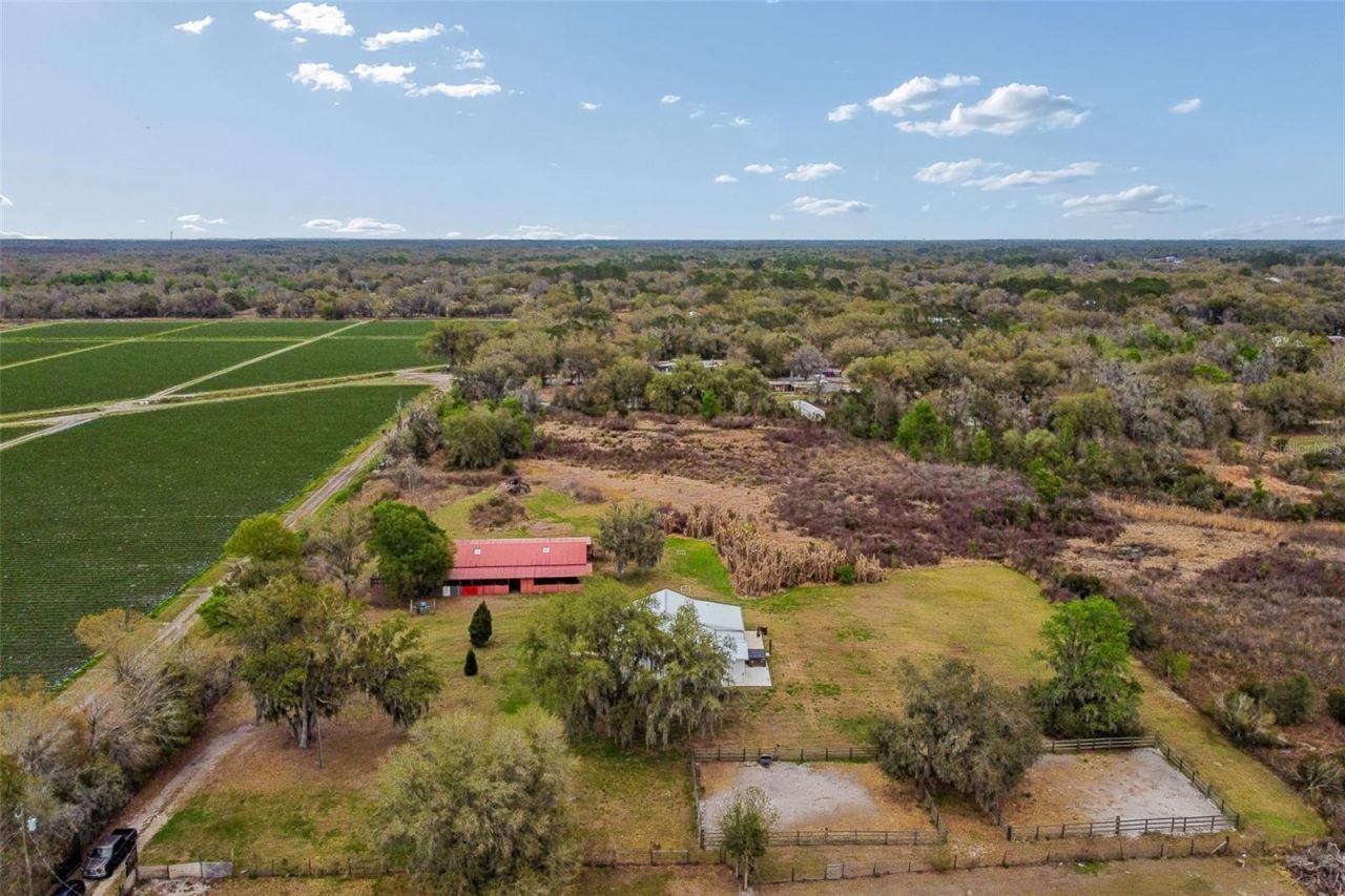 5614 Pless Road, Plant City, FL 33565 Photo
