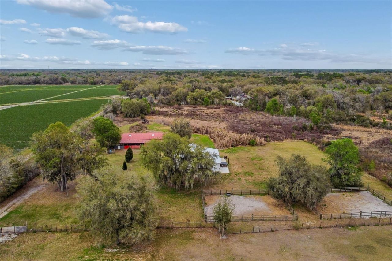 5614 Pless Road, Plant City, FL 33565 Photo