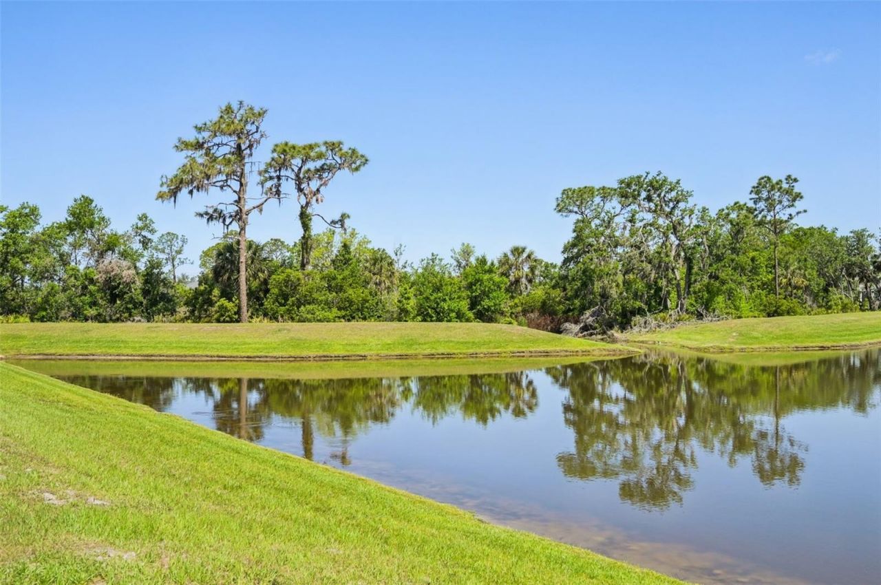 9970 Cross River Trail, Parrish, FL 34219 Photo