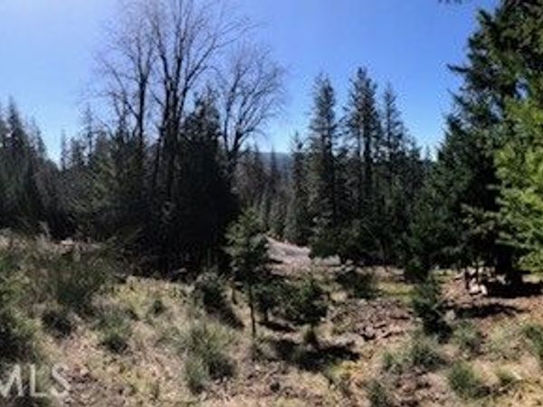 8713 Fox, Cobb, CA 95426