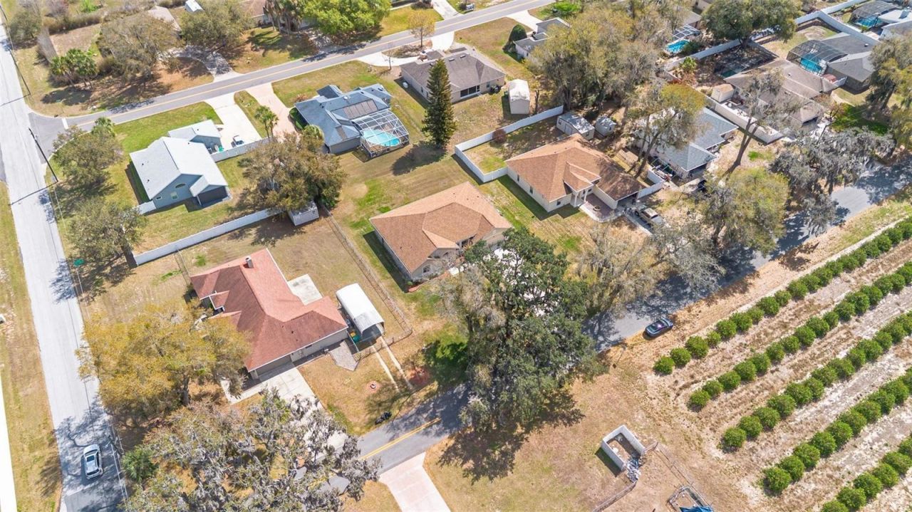 2025 S Fish Camp Road, Grand Island, FL 32735 Photo