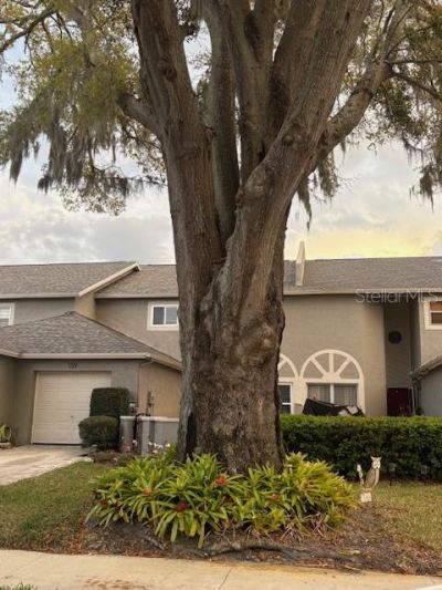 159 Hunter Court, Unit N/A, Palm Harbor, FL 34684 Photo