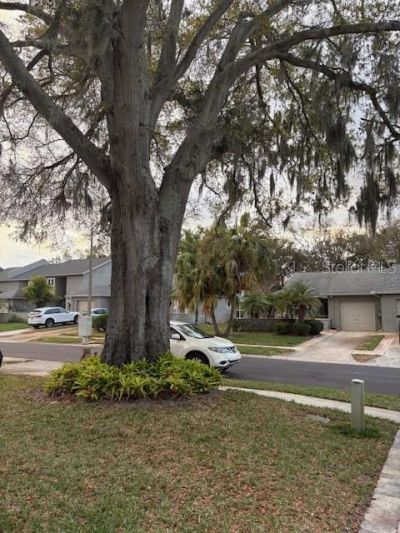 159 Hunter Court, Unit N/A, Palm Harbor, FL 34684 Photo