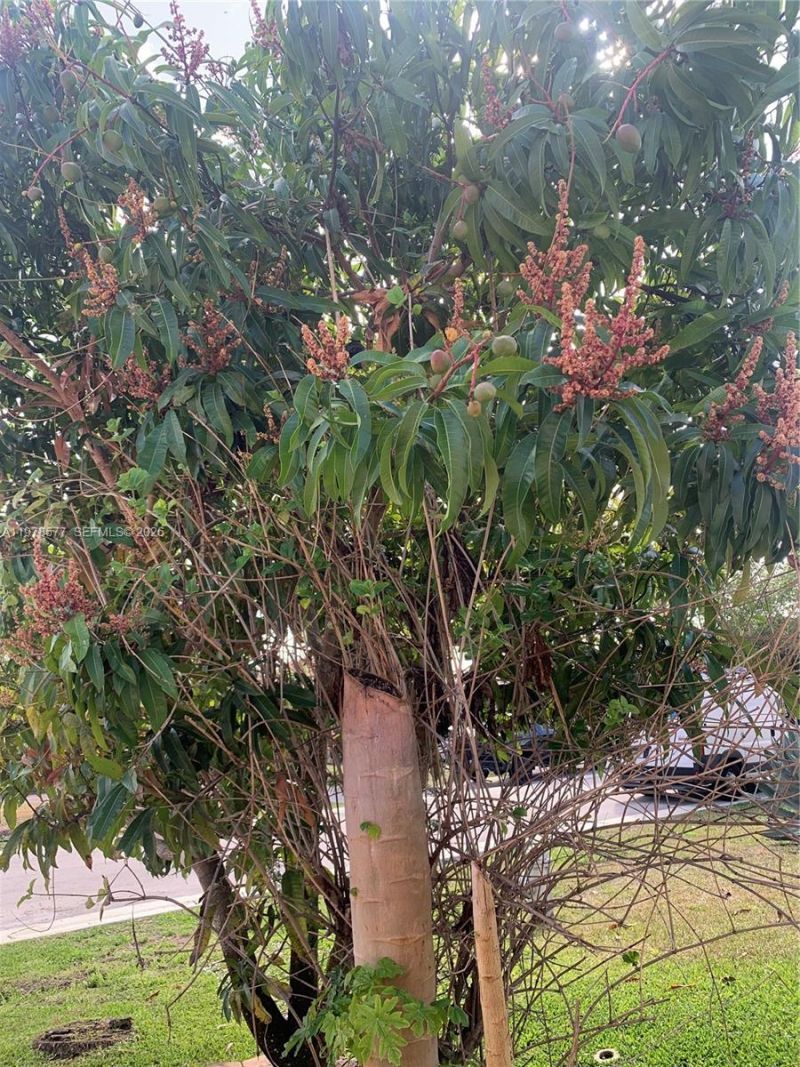 7507 NW 41st St, Coral Springs, FL 33065 Photo