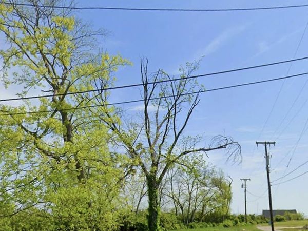 1217 Scovel, Nashville, TN 37208