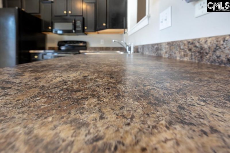 504 Idlewood Park Drive  Photo 10