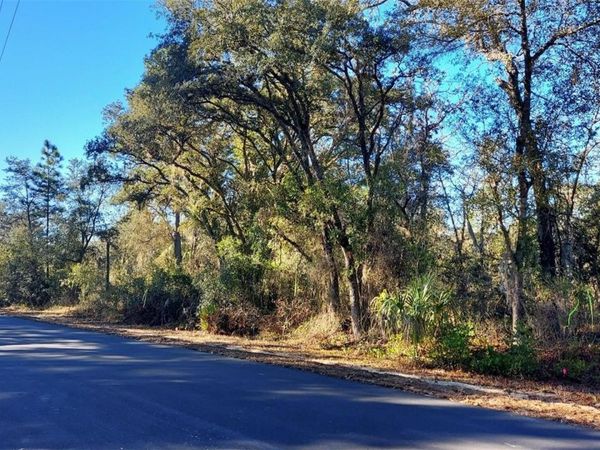 0 SE 124TH COURT, DUNNELLON, FL 34431