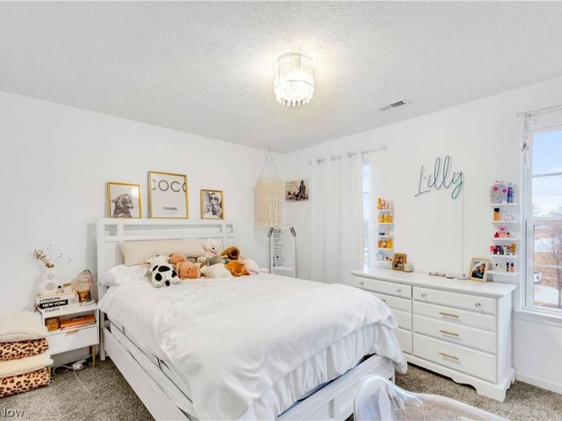 3147 Fairview Drive, Avon, OH 44011 Photo 32