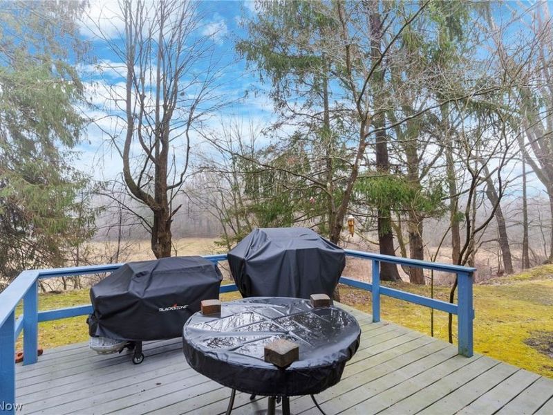 2479 Tibbetts Wick Road, Girard, OH 44420 Photo 32