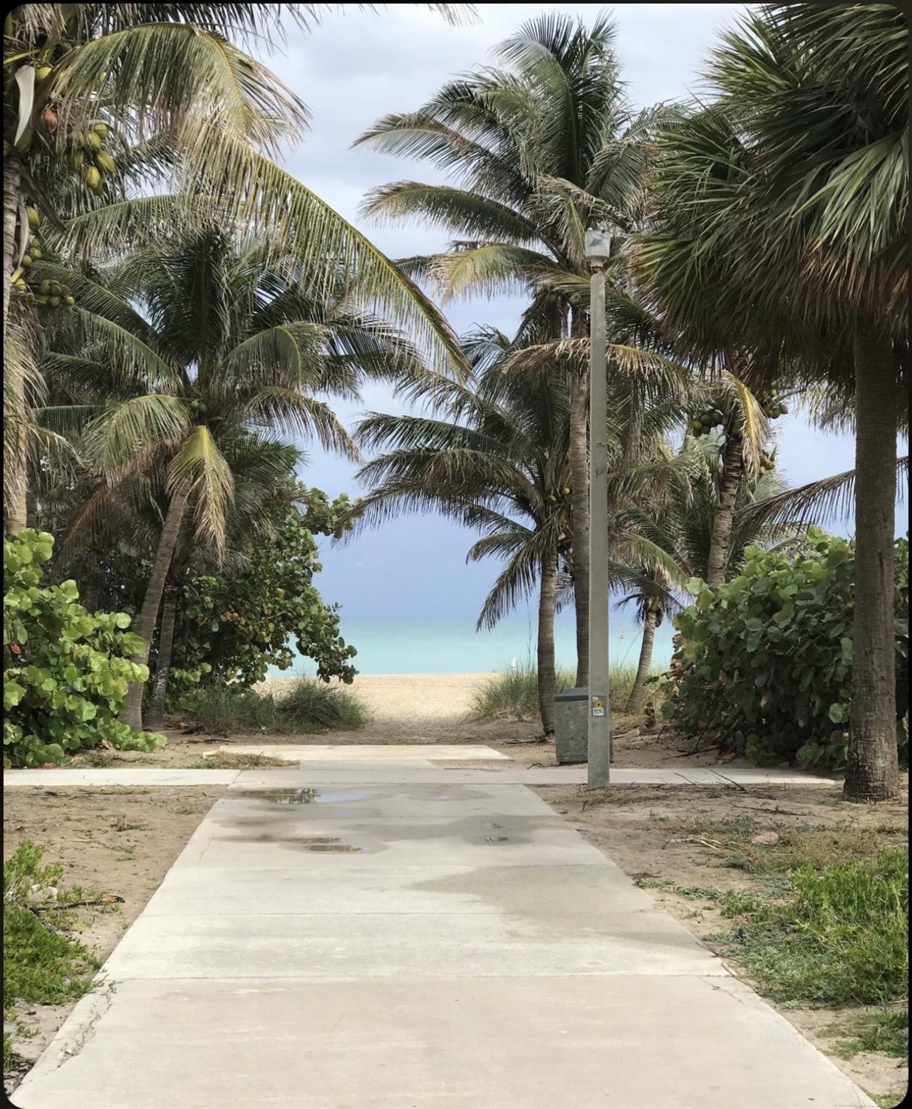 111 Briny Avenue, Unit 806, Pompano Beach, FL 33062 Photo