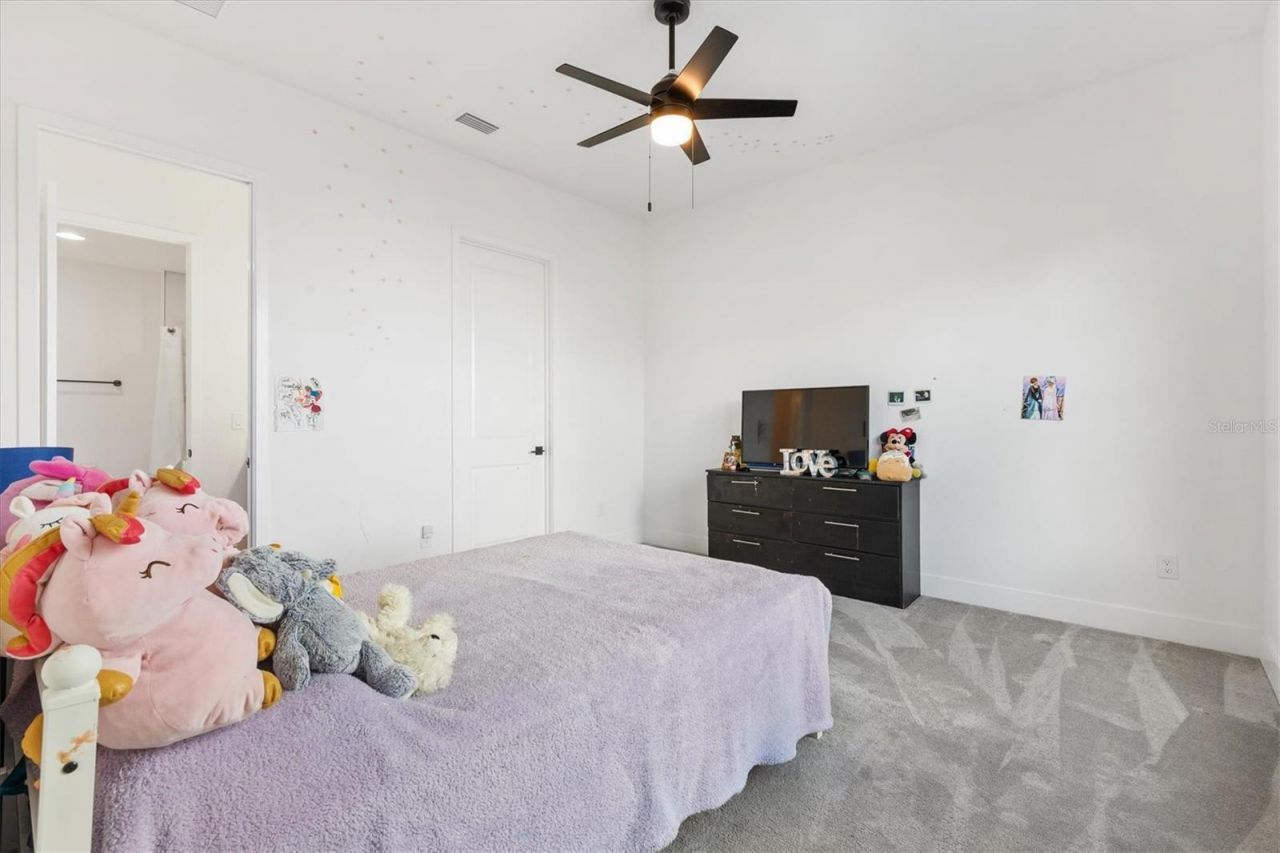 2744 Alder Ave , Middleton, FL 34762 Photo