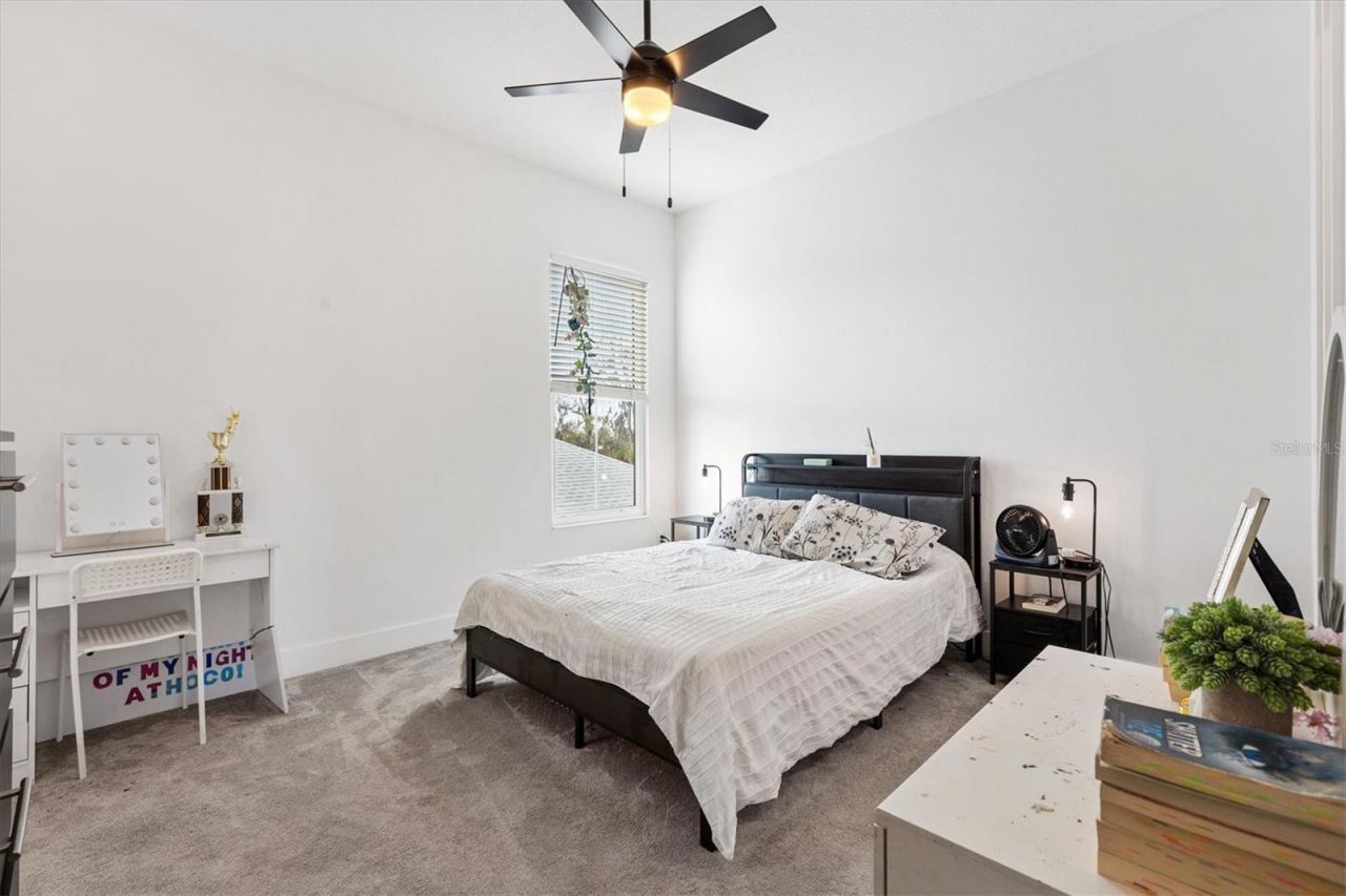 2744 Alder Ave, Middleton, FL 34762 Photo