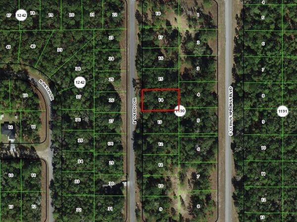 1273 E TOLEDO DRIVE , DUNNELLON, FL 34434