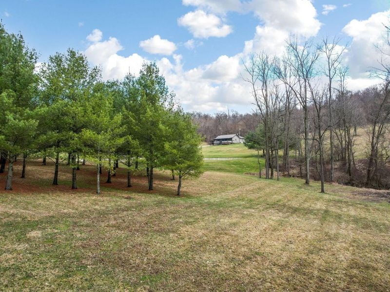 9273 Mulberry Road , Mount Perry, OH 43760 Photo 15