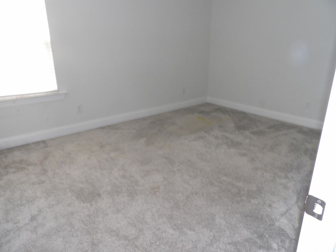 315 Coopers Hawk Drive Photo 9