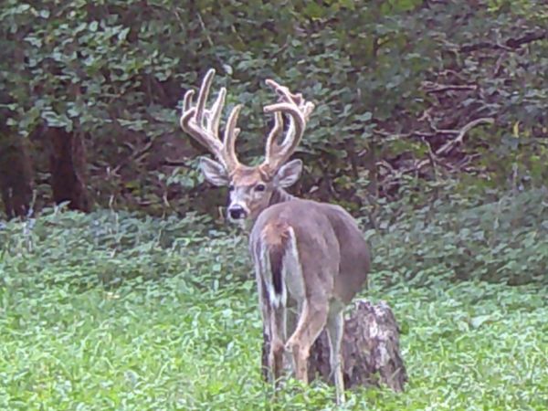 000 E 200th Avenue, Mason, IL 62443