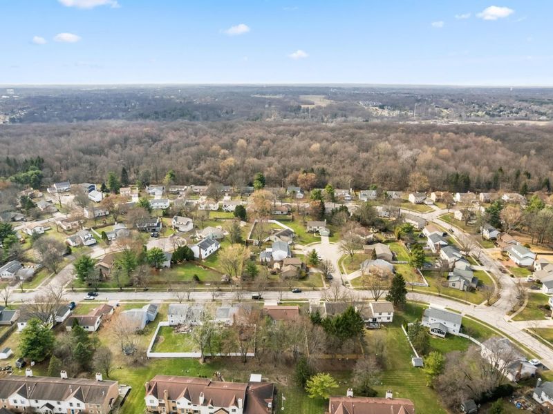 8422 Nuthatch Way, Columbus, OH 43235 Photo 58