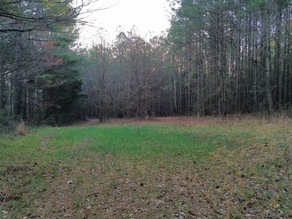 8165 Highway 81, Bethlehem, GA 30620