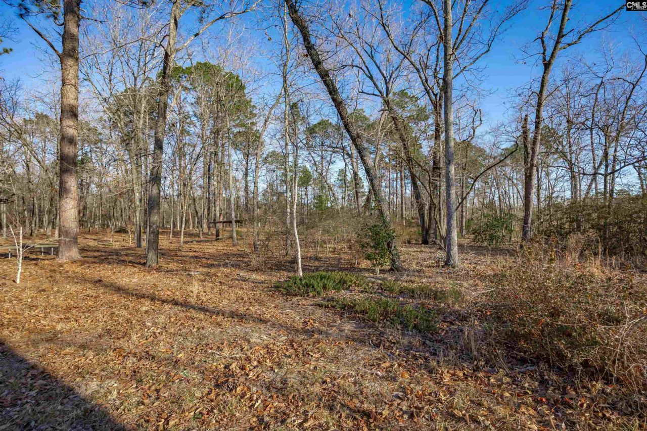 532 Burns Drive  Photo 34