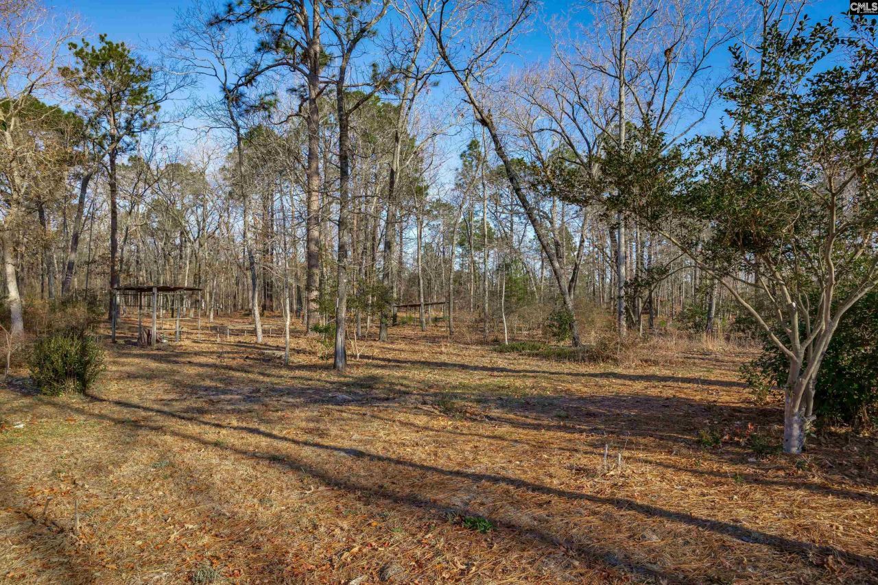 532 Burns Drive  Photo 37