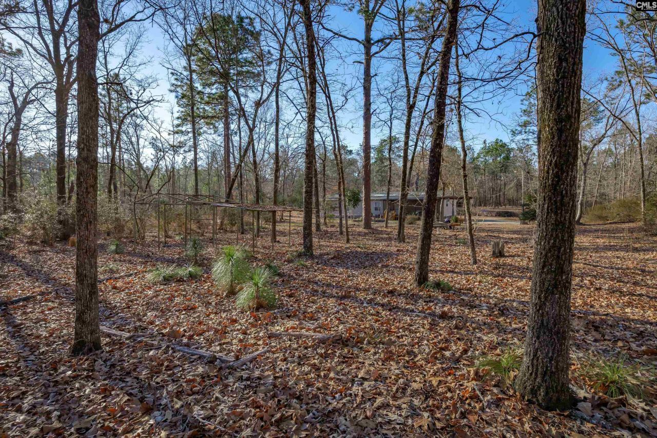 532 Burns Drive  Photo 39