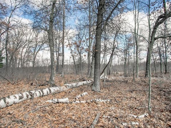 TBD Owl Lake, Siren, WI 54872