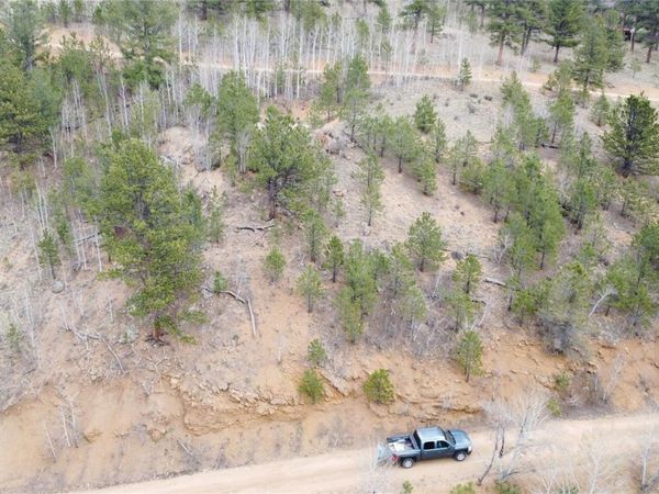 381 Neish Street, Bailey, CO 80421