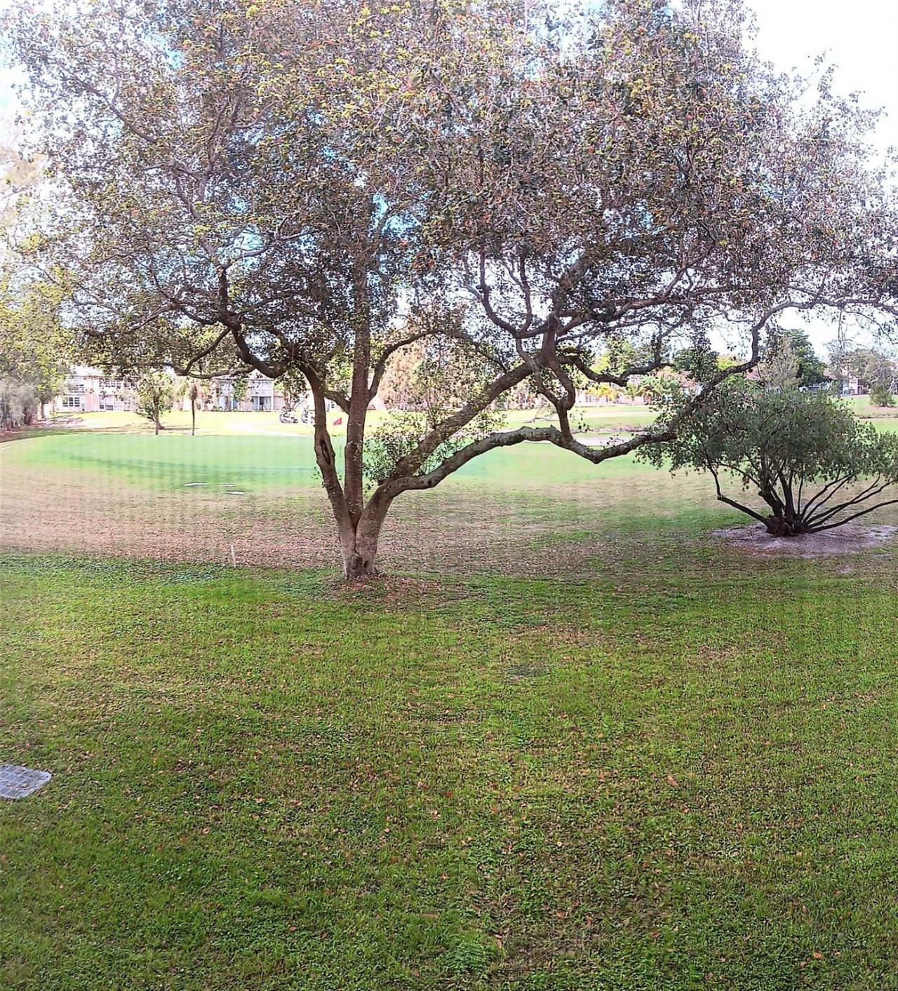 1035 Country Club Drive, Unit 206, Margate, FL 33063 Photo