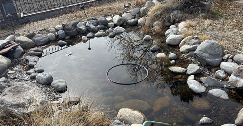 280 Eucalyptus Court, Reno, NV 89523 Photo