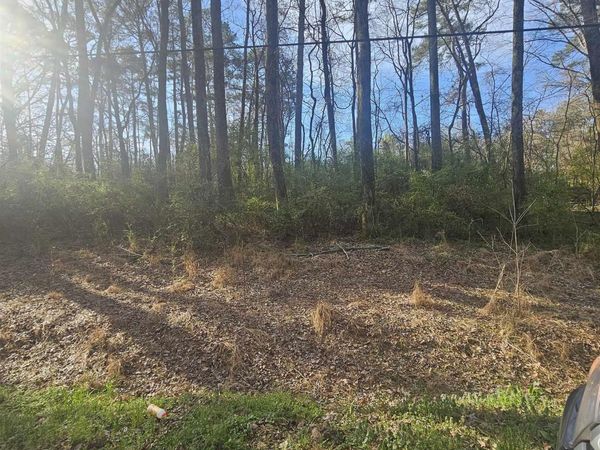 0.50 Mitchell Street, Madison, AL 35757