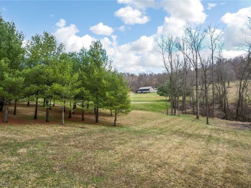 9273 Mulberry Road, Mount Perry, OH 43760 Photo 10