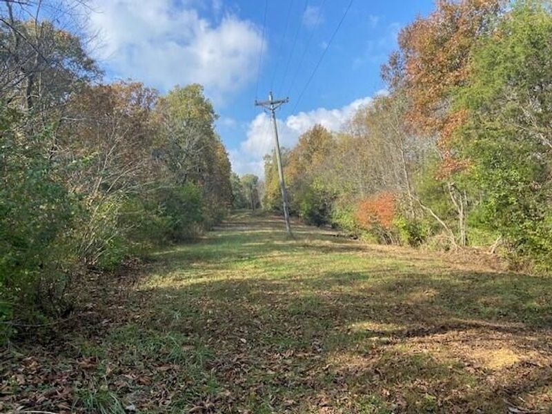 1121 Galbraith Road, Brooksville, KY 41004 Photo 2