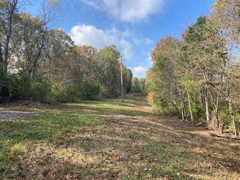 1121 Galbraith Road, Brooksville, KY 41004 Photo 3