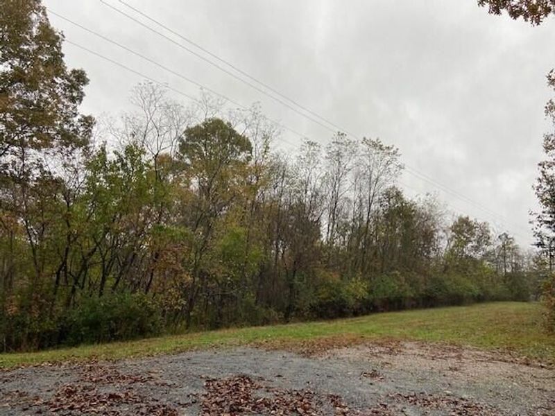 1121 Galbraith Road, Brooksville, KY 41004 Photo 4