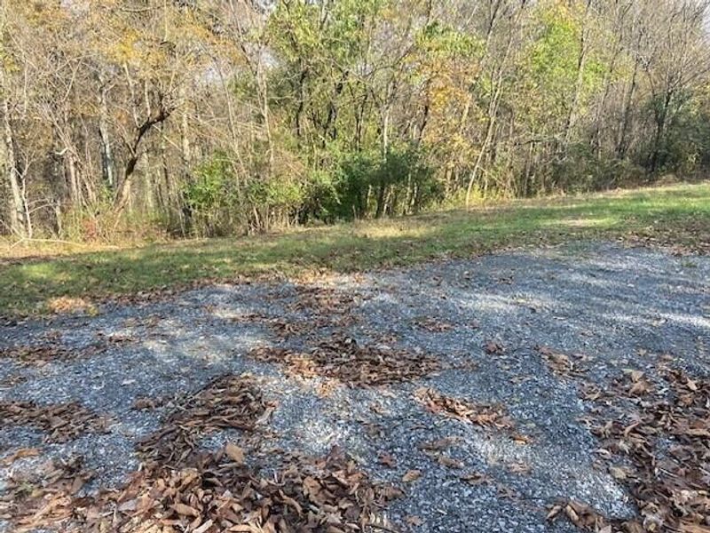 1121 Galbraith Road, Brooksville, KY 41004 Photo 5