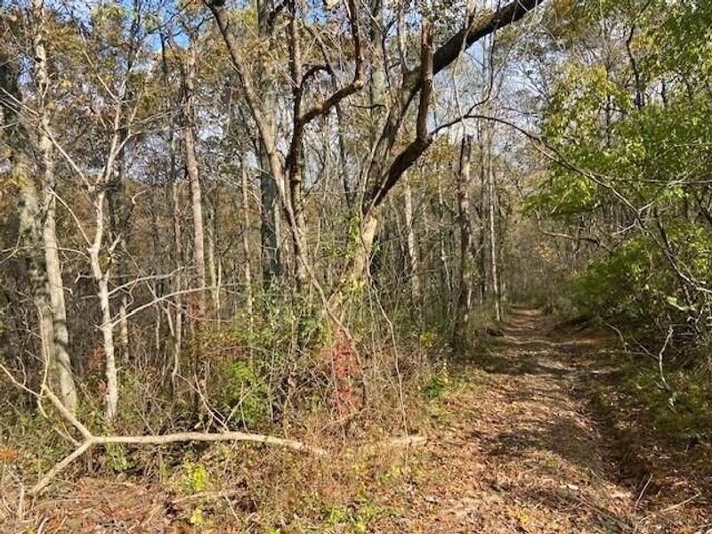 1121 Galbraith Road, Brooksville, KY 41004 Photo 6
