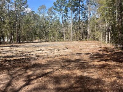 1969 Beach Road, Walterboro, SC 29488