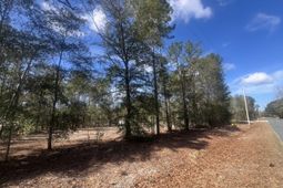 1969 Beach Road photo 4