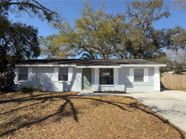 3602 TAMARIX DRIVE , TAMPA, FL 33619