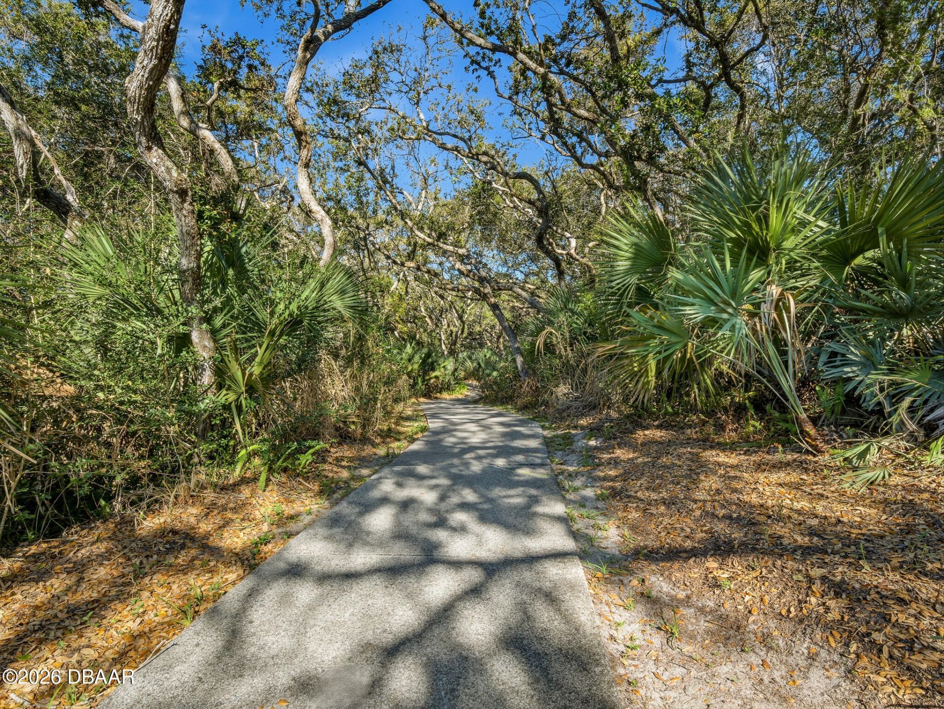 4208 Gull Cove, New Smyrna Beach, FL 32169 Photo