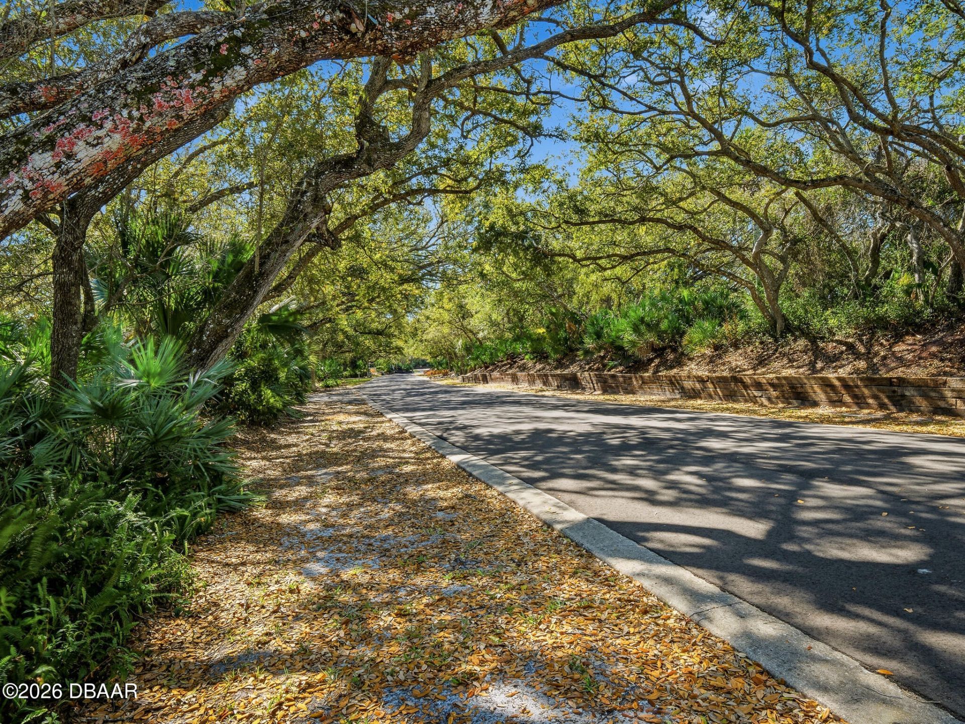 4208 Gull Cove, New Smyrna Beach, FL 32169 Photo