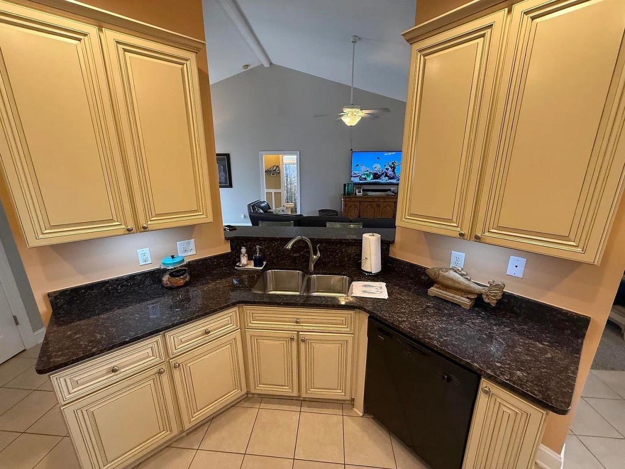 245 Colby Ct. Photo 11