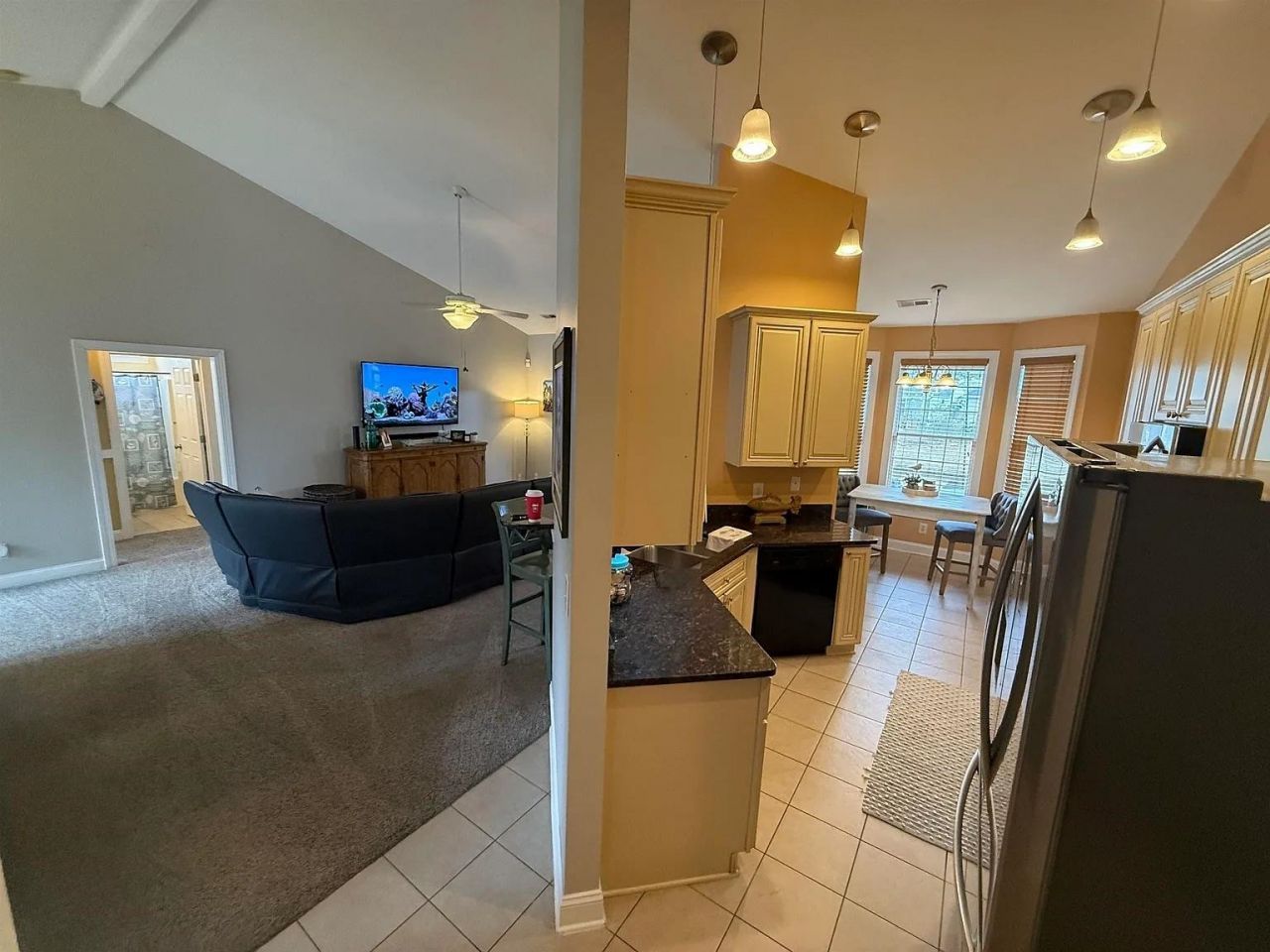 245 Colby Ct. Photo 13