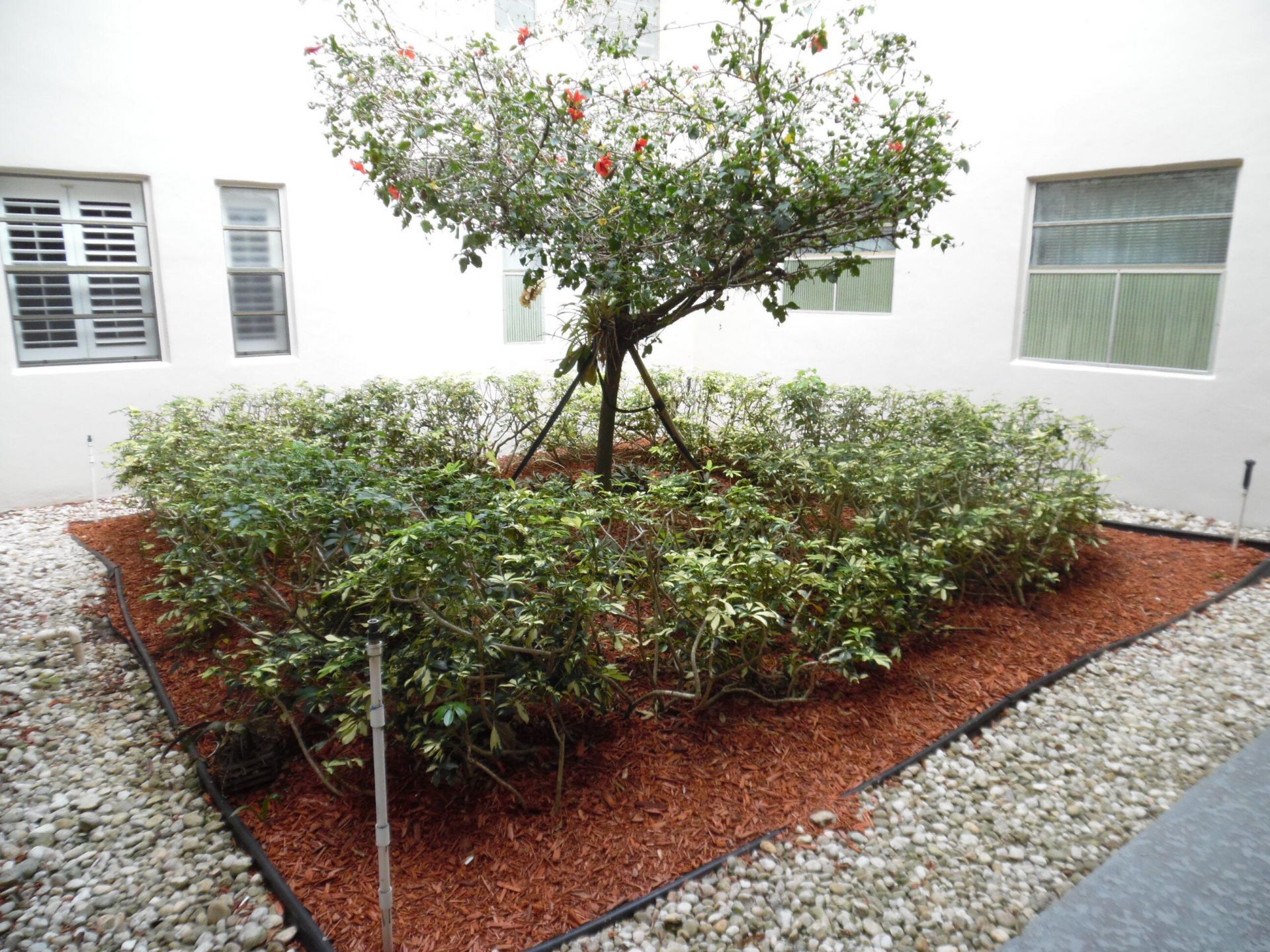 157 Capri D, Unit 157, Delray Beach, FL 33484 Photo